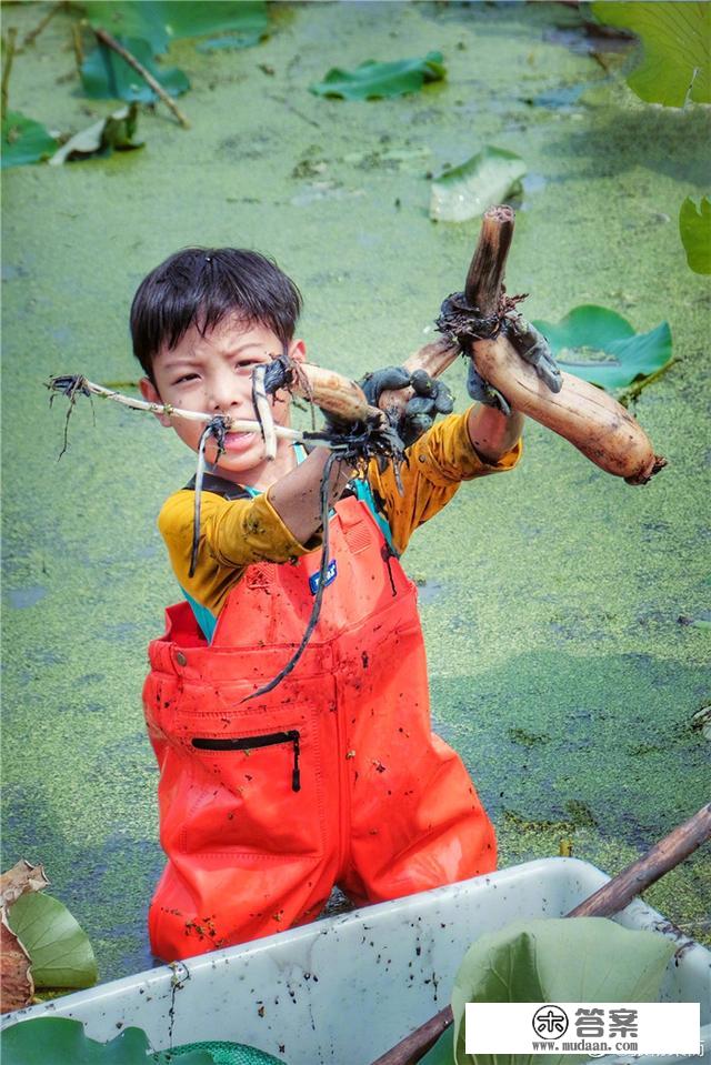 上海主持百克力带儿子下田挖藕！俩人满脸淤泥依旧笑意满满