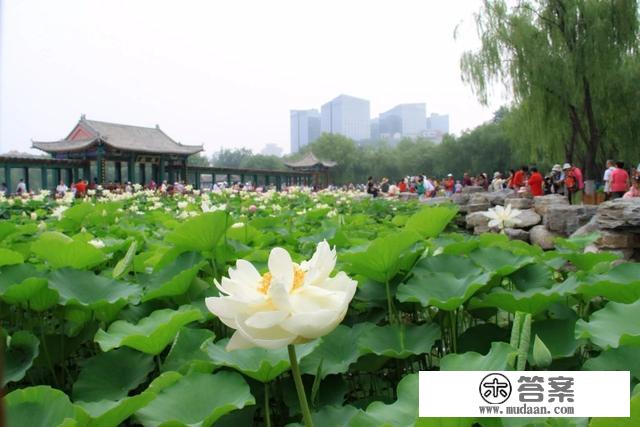 丰台文化旅游消夏季活动官方版来了！