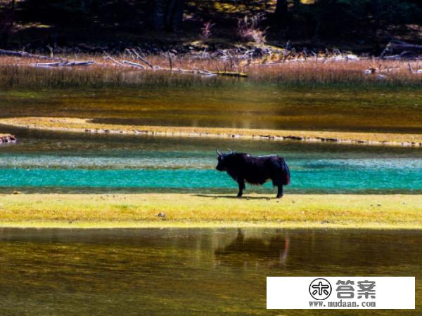 四川甘孜：月亮湖光影醉秋色