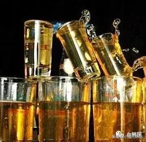 韩国人到底有多爱喝烧酒？