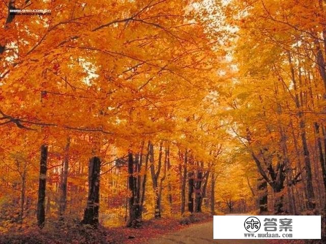 诗词｜欧阳修：夜深风竹敲秋韵，万叶千声皆是恨