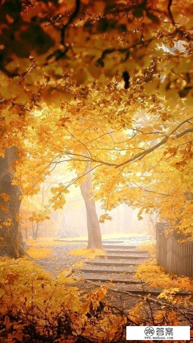 诗词｜欧阳修：夜深风竹敲秋韵，万叶千声皆是恨