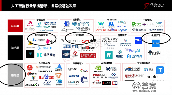 “不搞ChatGPT就落伍了！”癫狂炒做下的科技公司寡生相