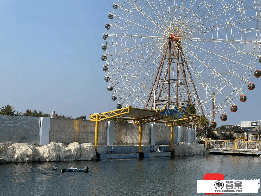 颠末近20小时的救护，三亚搁浅侏儒抹香鲸已能借助浮漂自主游动