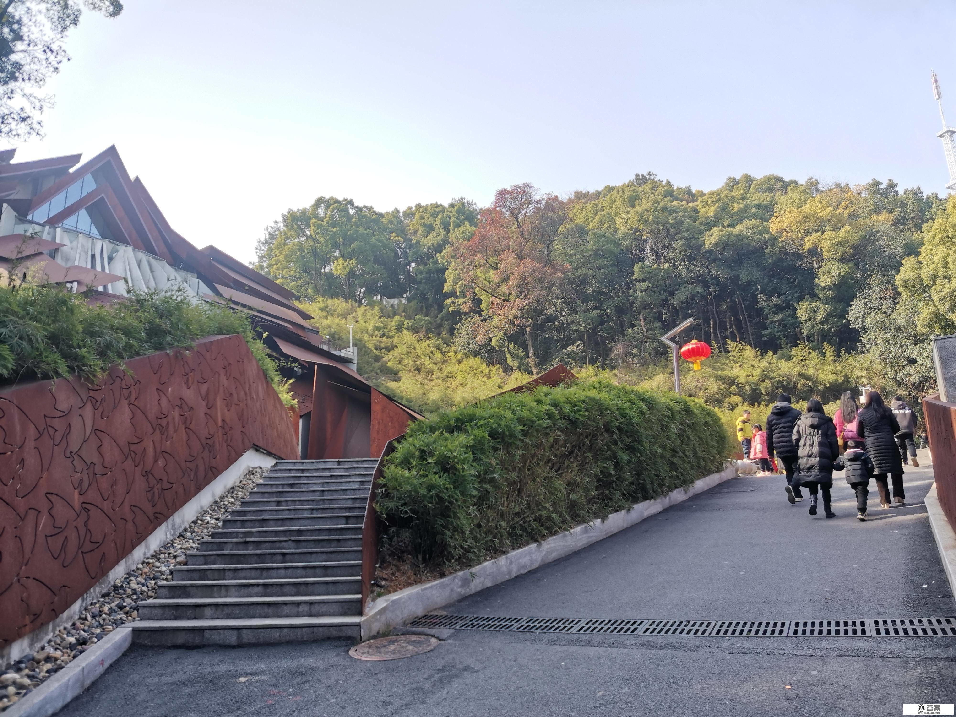 文明旅游成春节“最美光景”