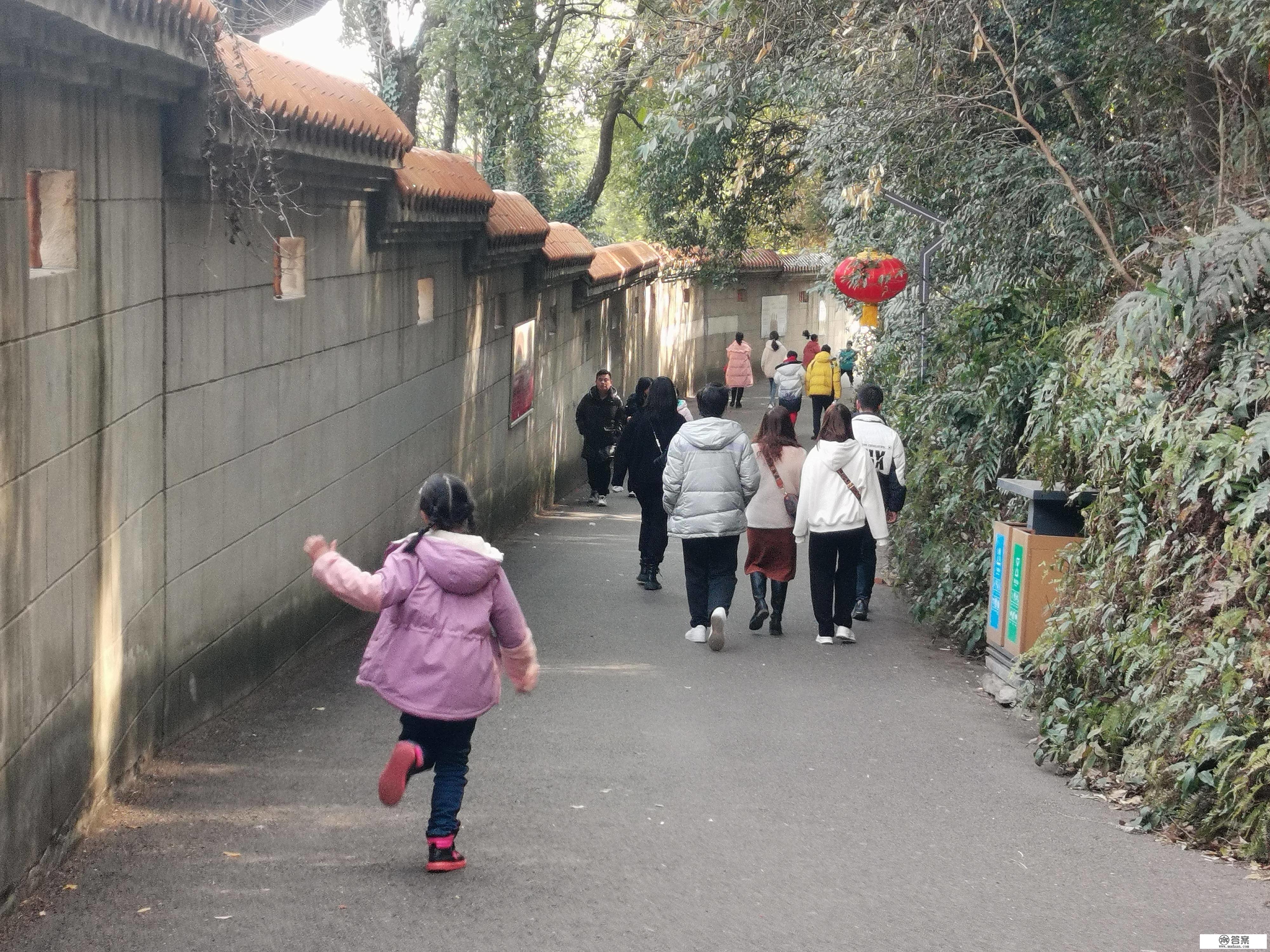 文明旅游成春节“最美光景”