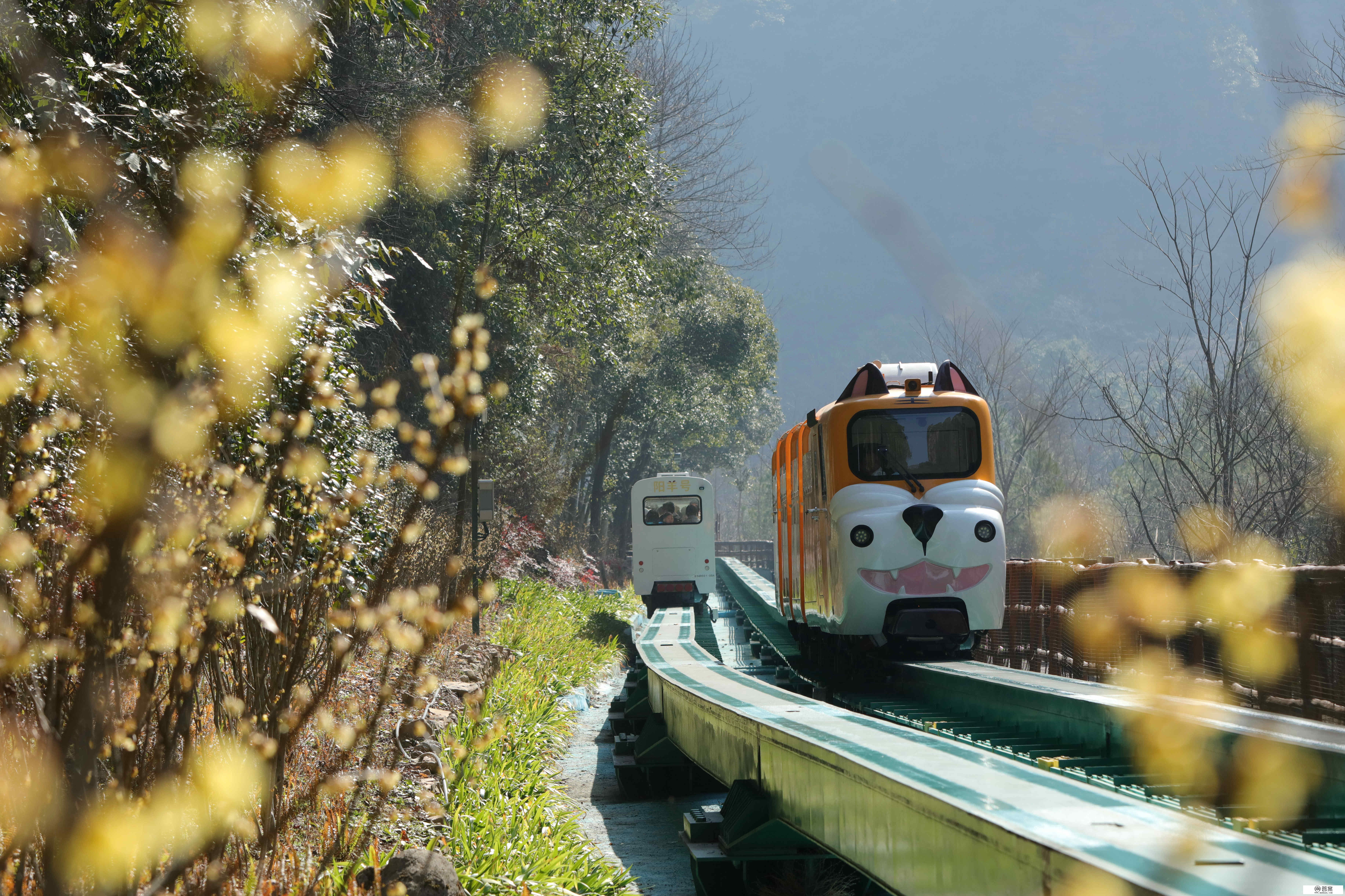 #（社会）湖南张家界：节后旅游热度不减