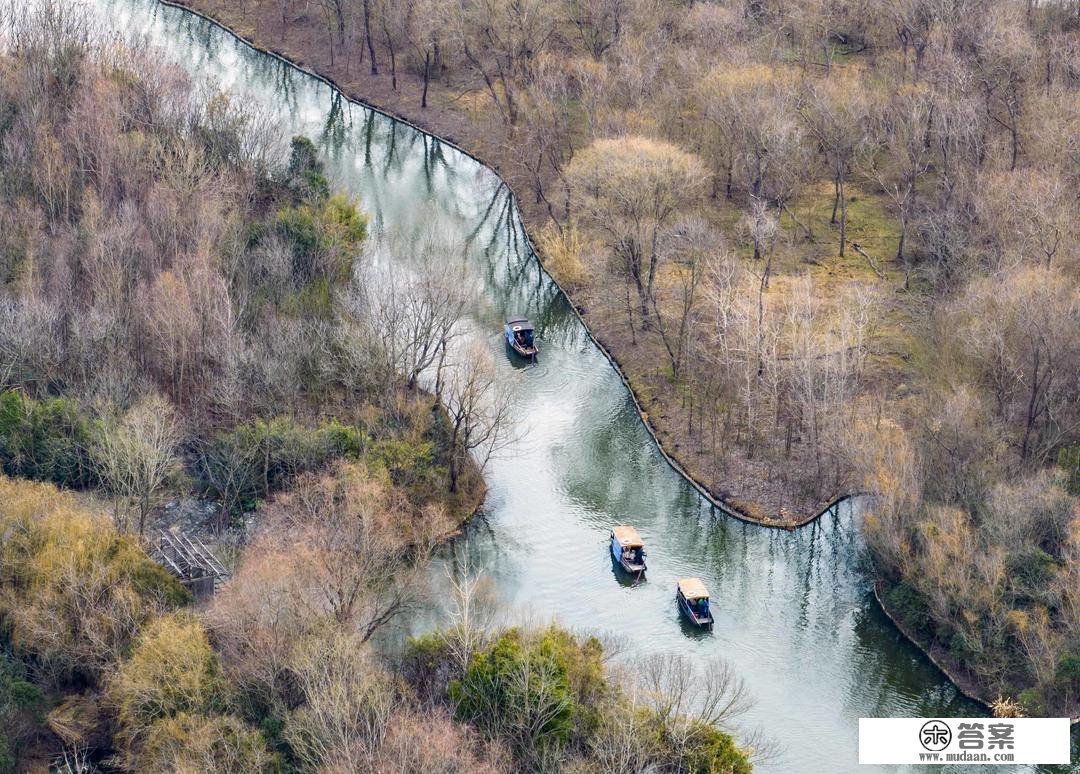 组图|江苏泰州：大美湿地景如画