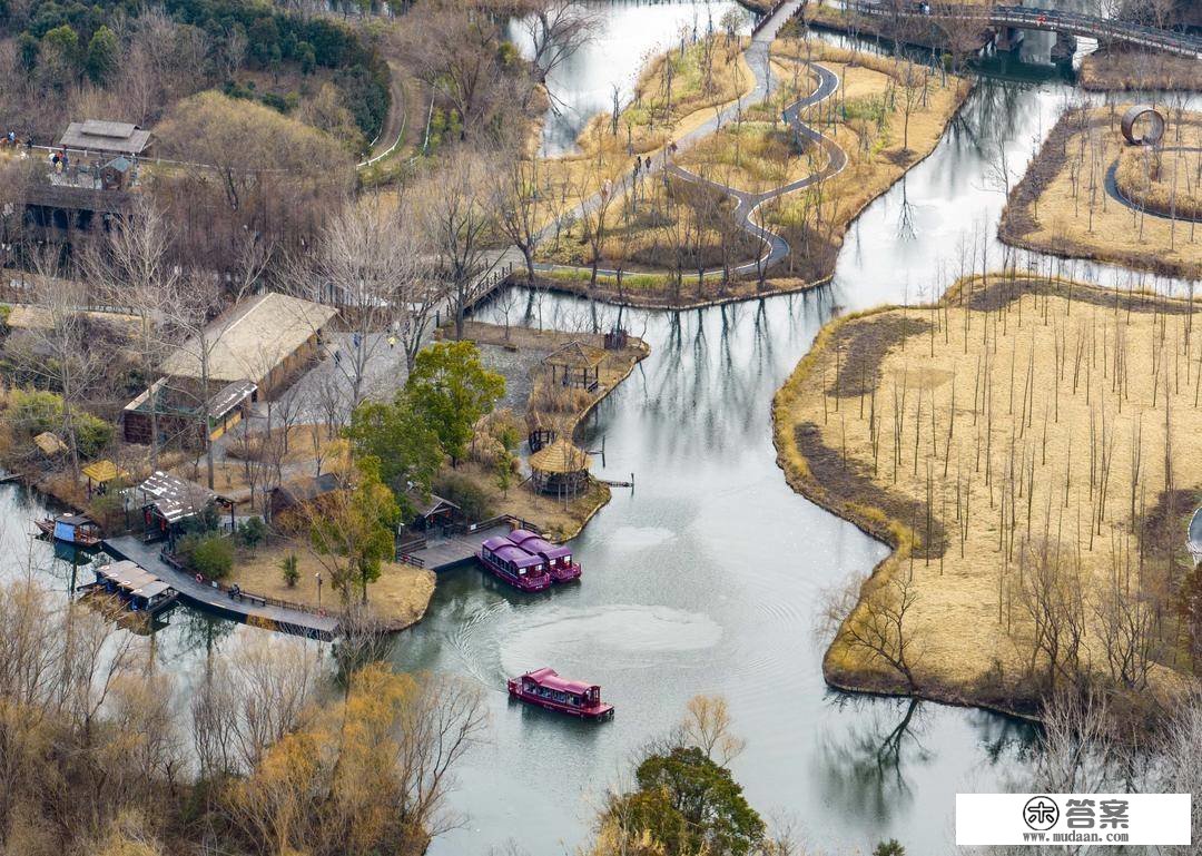 组图|江苏泰州：大美湿地景如画