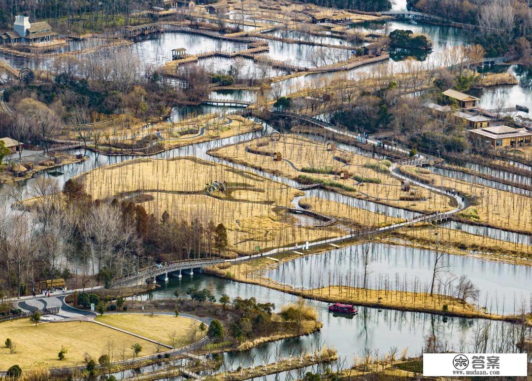 组图|江苏泰州：大美湿地景如画