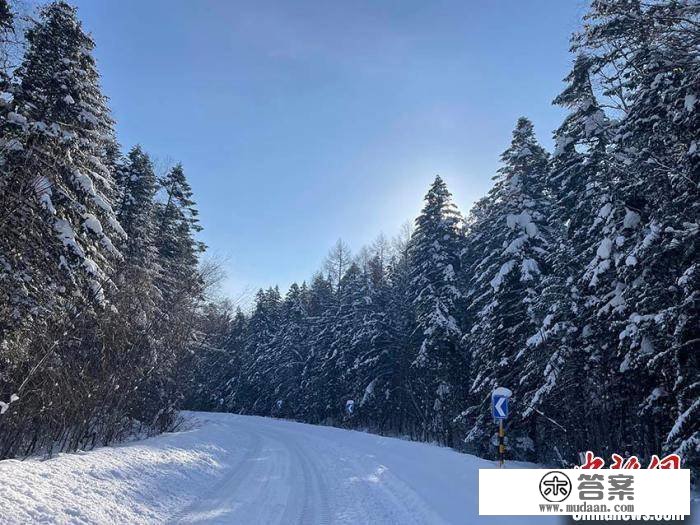 雪后长白山变身“水墨版”林海雪原