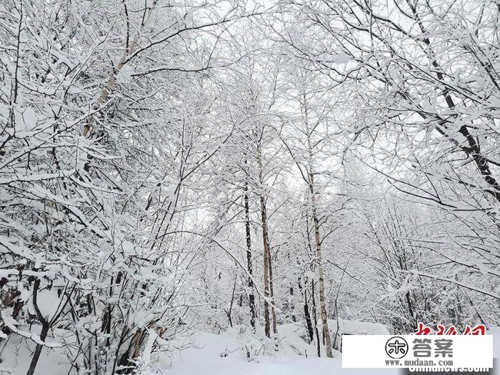 雪后长白山变身“水墨版”林海雪原