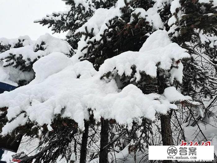 雪后长白山变身“水墨版”林海雪原