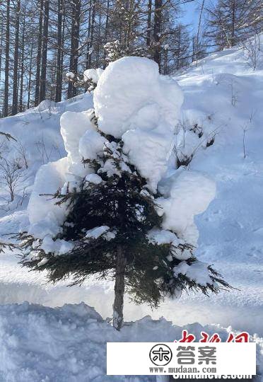 雪后长白山变身“水墨版”林海雪原