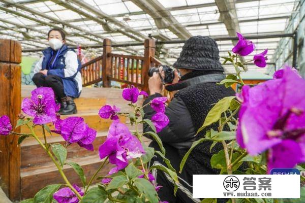 春节临近 农业参观游升温