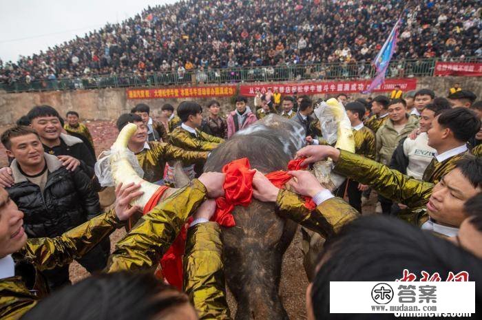 贵州从江：特色民俗活动带动村落旅游苏醒