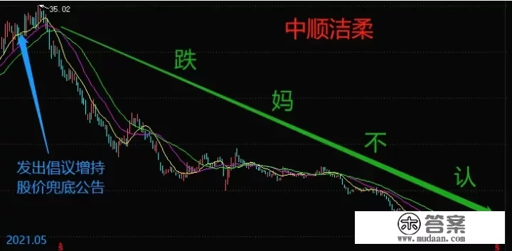 中顺洁柔是大公司吗？