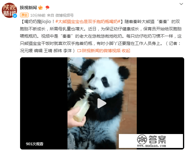 喝奶奶蹬脚脚！大熊猫宝宝也是双手抱奶瓶喝奶