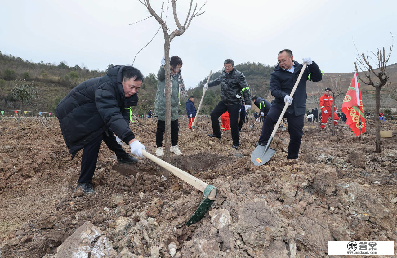 云岩区2023年义务植树活动举行 王启云 王黔 杨晓阳 张洪参与