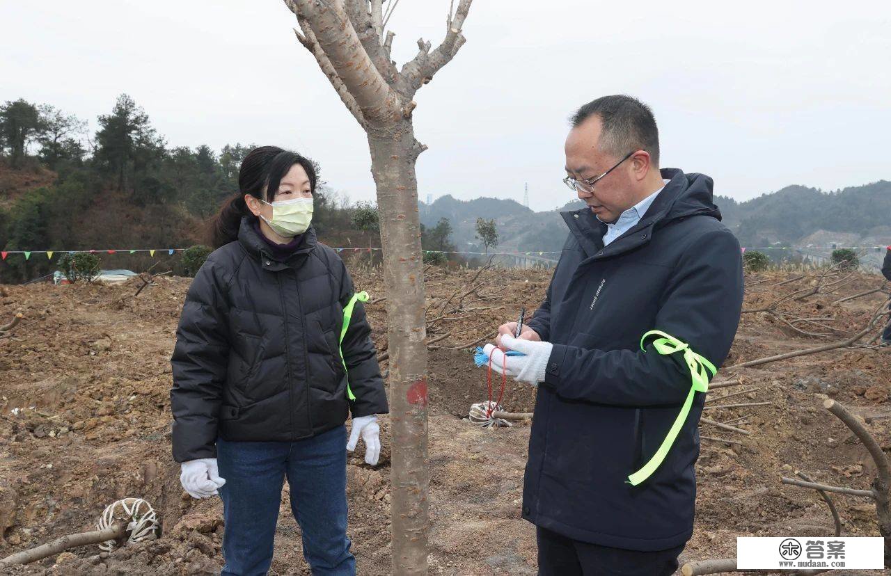 云岩区2023年义务植树活动举行 王启云 王黔 杨晓阳 张洪参与