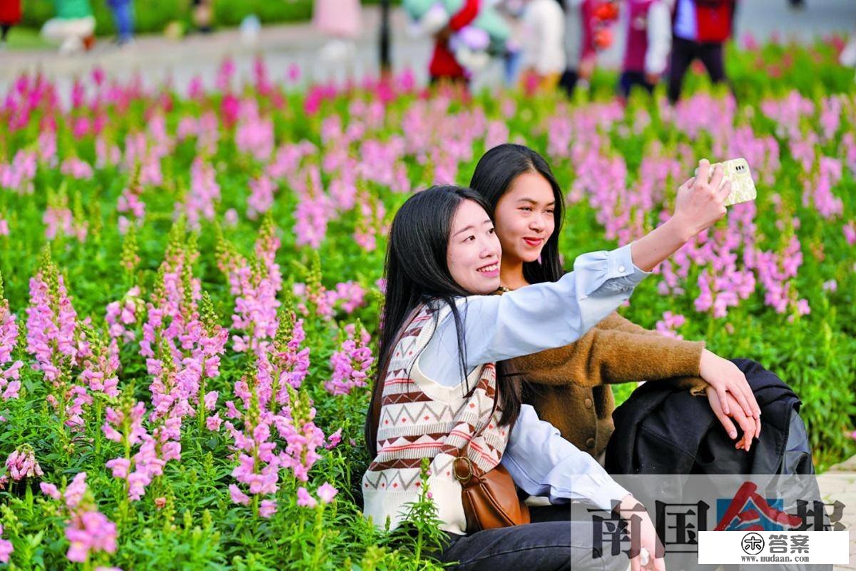 高清图集丨春花烂漫日 踏青好时节