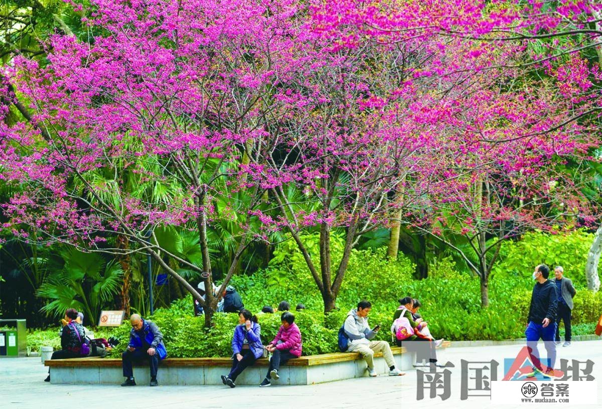 高清图集丨春花烂漫日 踏青好时节