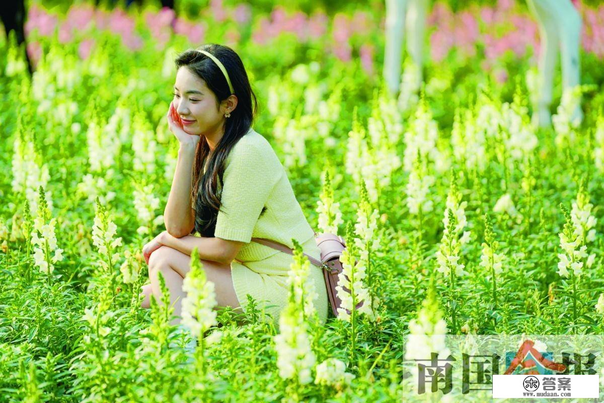 高清图集丨春花烂漫日 踏青好时节