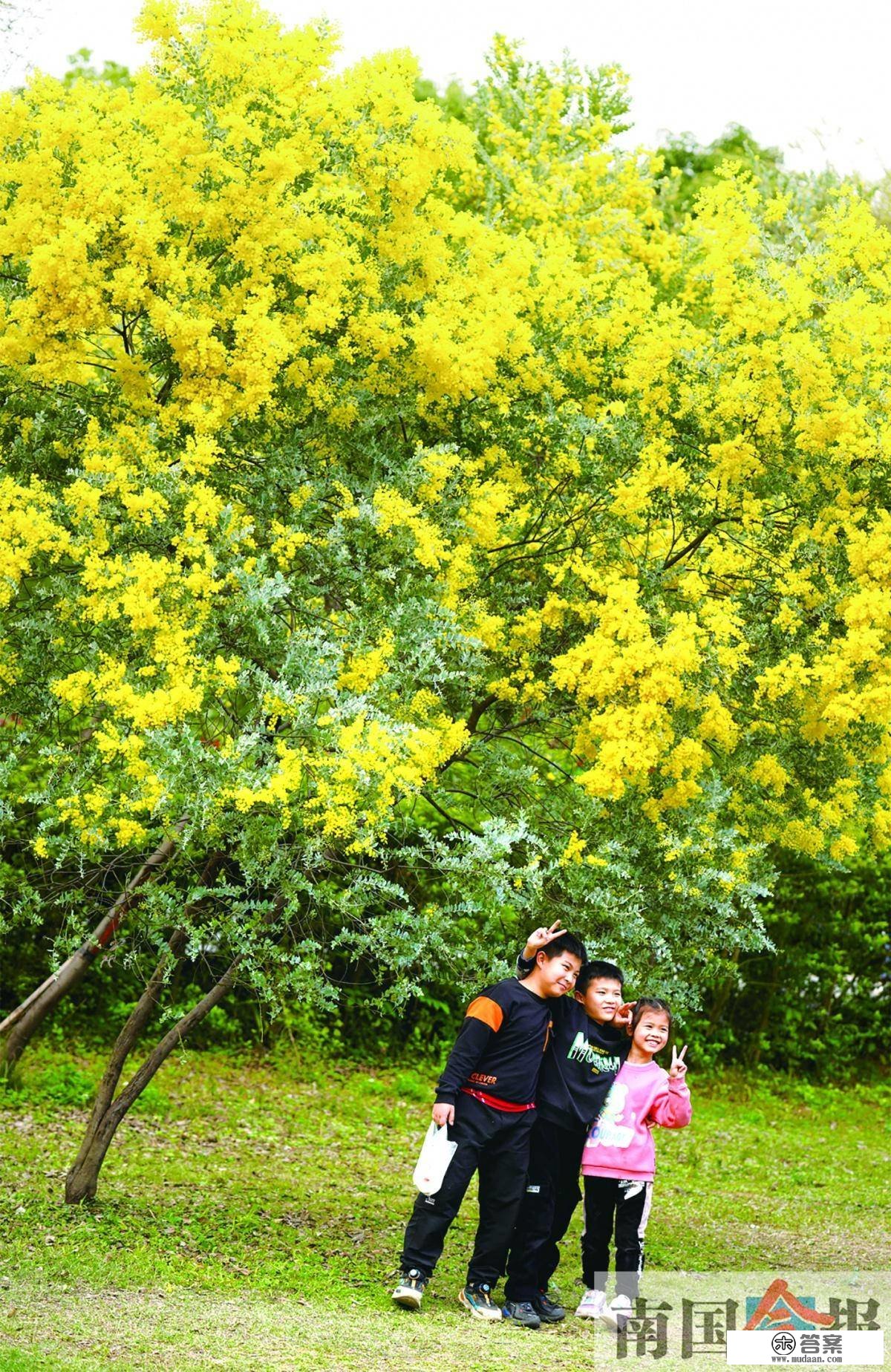 高清图集丨春花烂漫日 踏青好时节