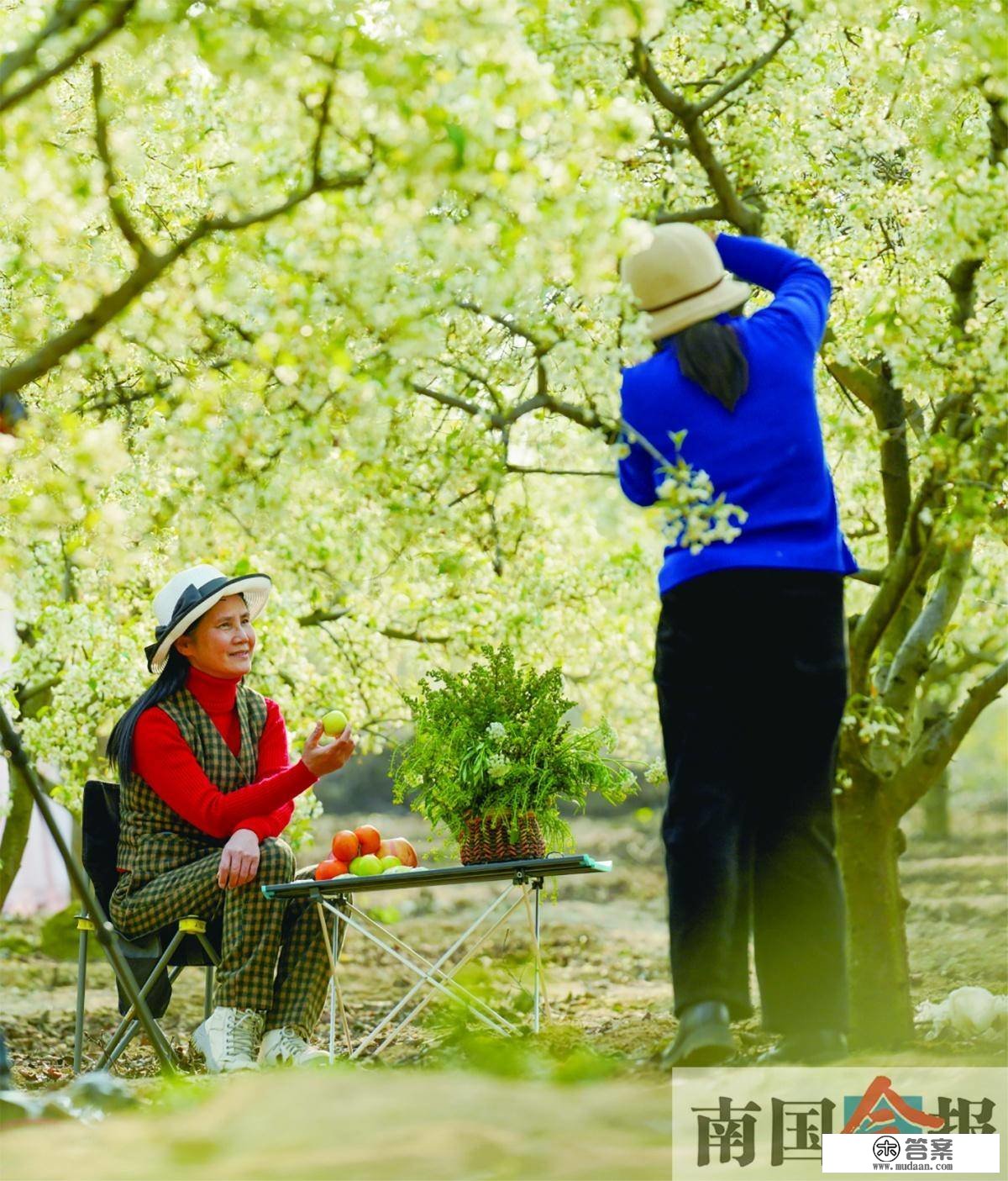 高清图集丨春花烂漫日 踏青好时节