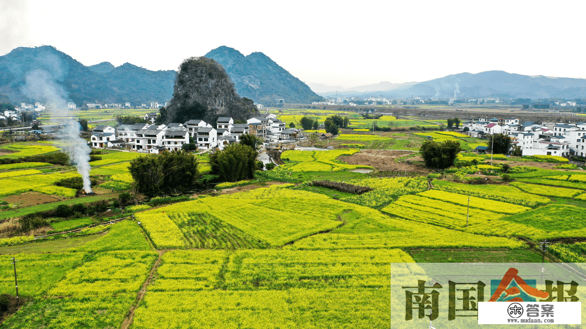 高清图集丨春花烂漫日 踏青好时节