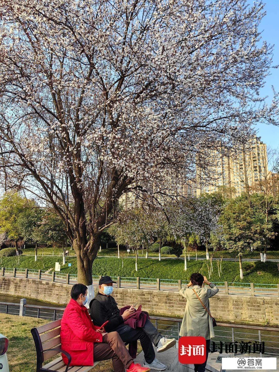 图集︱春光绚烂的三月第一天 相逢“繁花似锦”