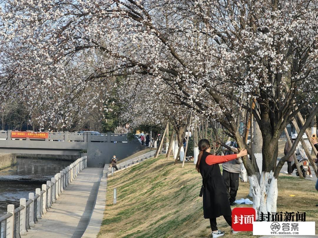 图集︱春光绚烂的三月第一天 相逢“繁花似锦”