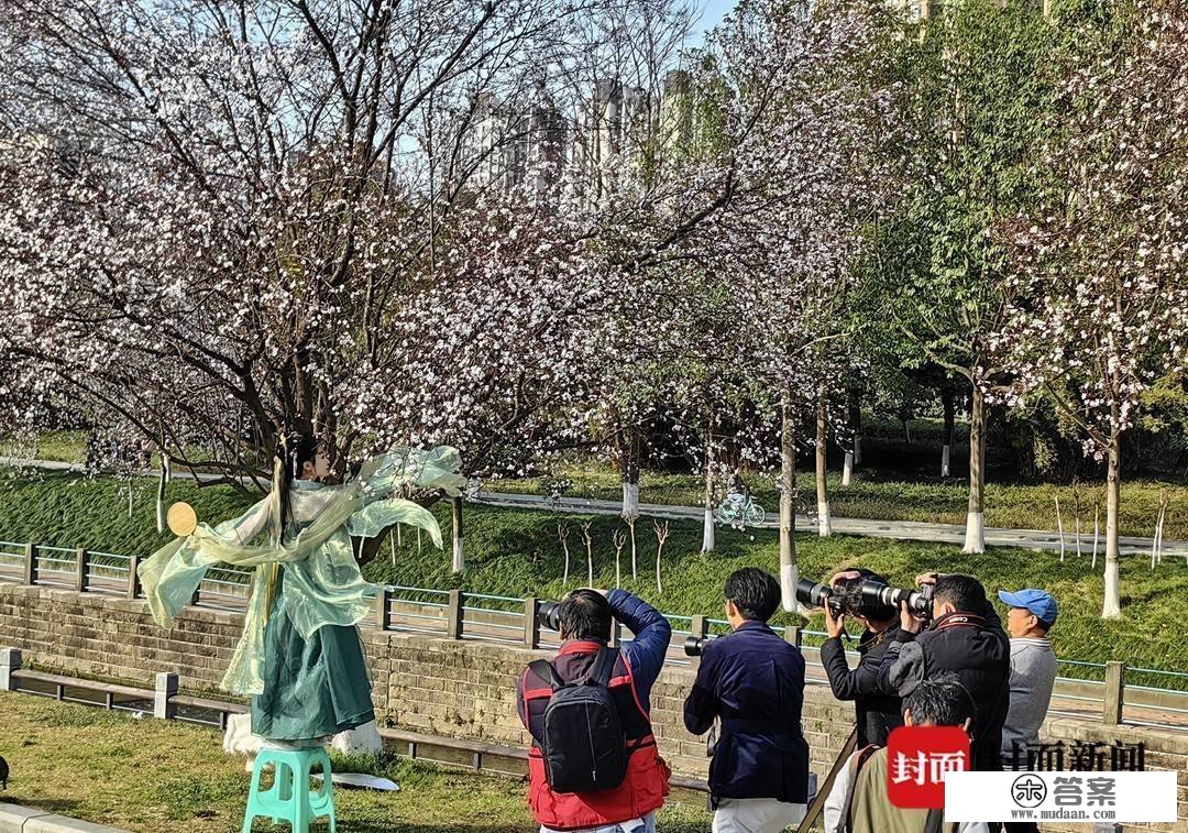 图集︱春光绚烂的三月第一天 相逢“繁花似锦”