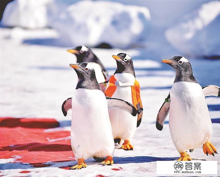 龙江冰雪季丨美景暂离去 再见在今冬