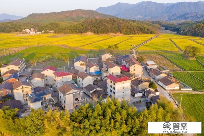 【春日里的中国】油菜花开金满地 一抹暖风千亩黄