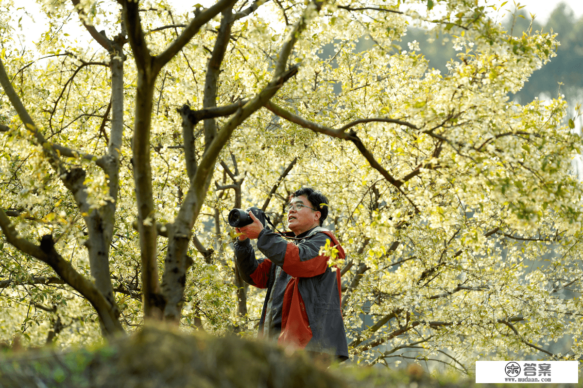 鹿寨县导江乡：上千亩山楂花开引客来