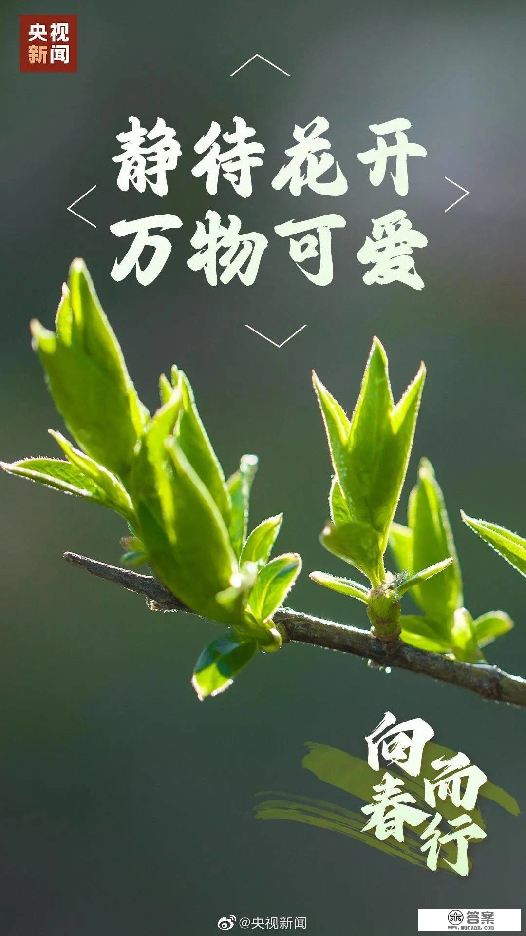 保藏！兔年祝愿案牍来啦