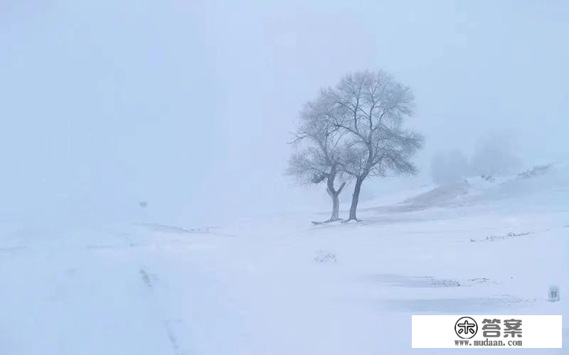 雪地里（奔驰吧兄弟）