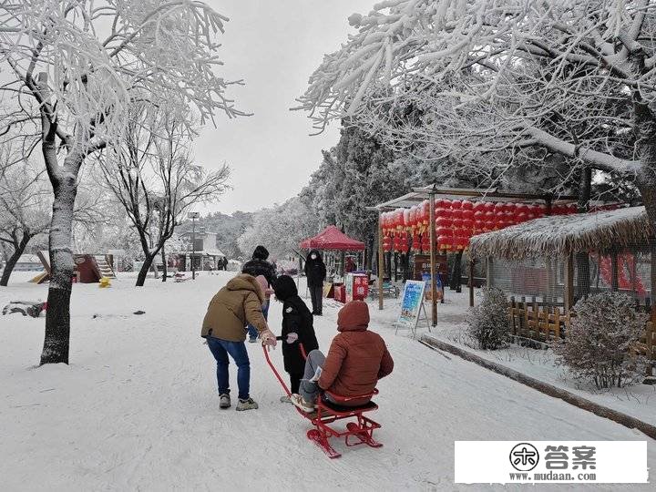 2023年第二场降雪来啦！济南赛马岭再现雾凇漫岭奇迹