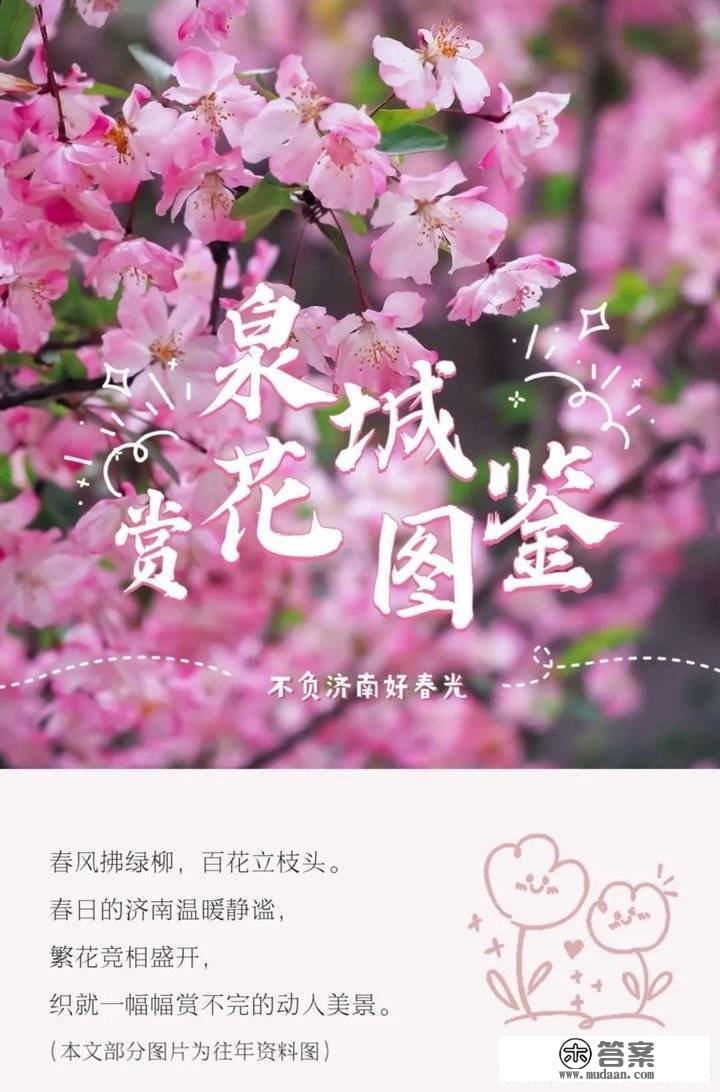 姹紫嫣红别样春，《泉城赏花图鉴》来啦