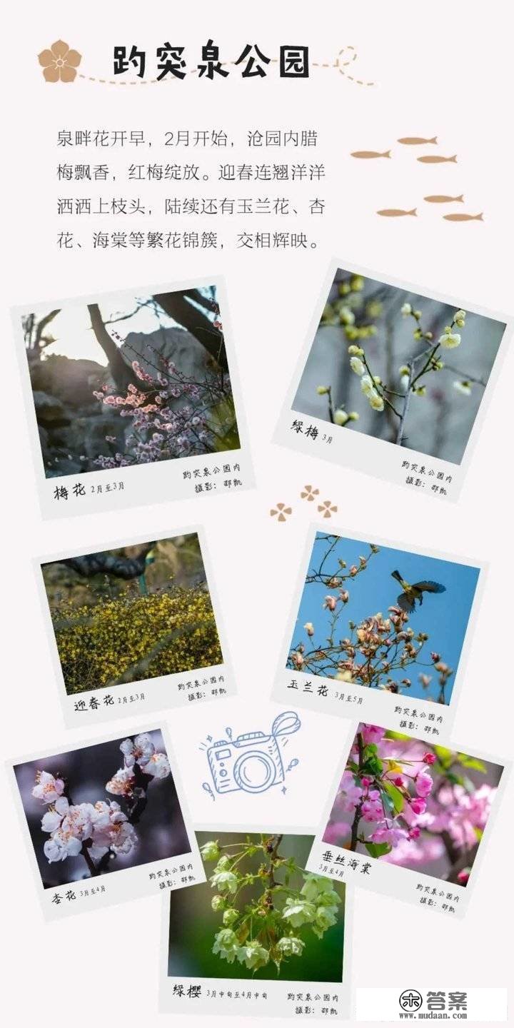 姹紫嫣红别样春，《泉城赏花图鉴》来啦