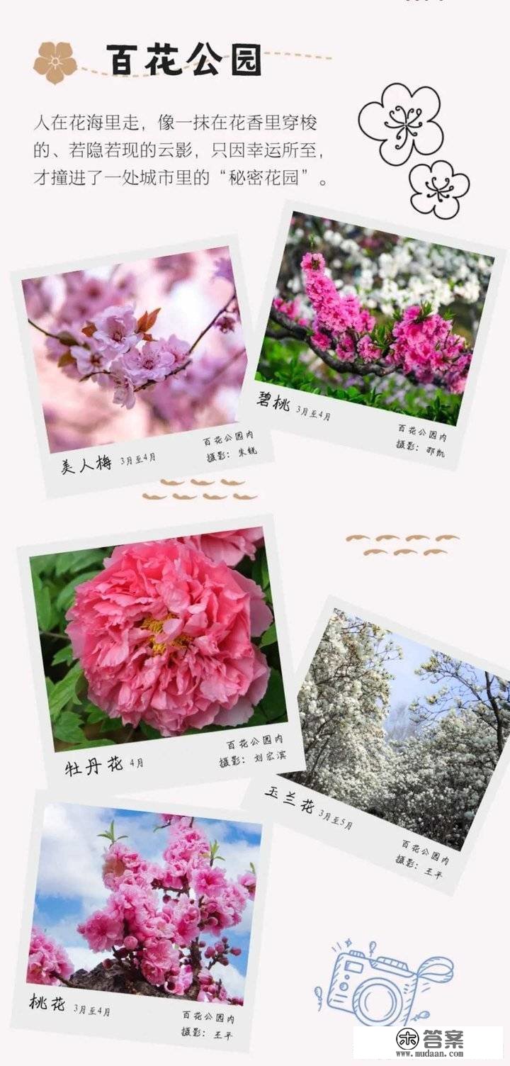 姹紫嫣红别样春，《泉城赏花图鉴》来啦