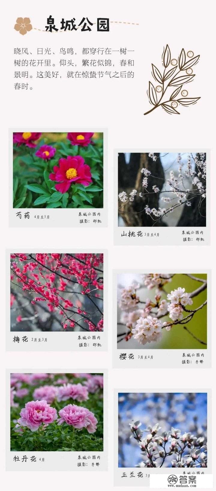 姹紫嫣红别样春，《泉城赏花图鉴》来啦