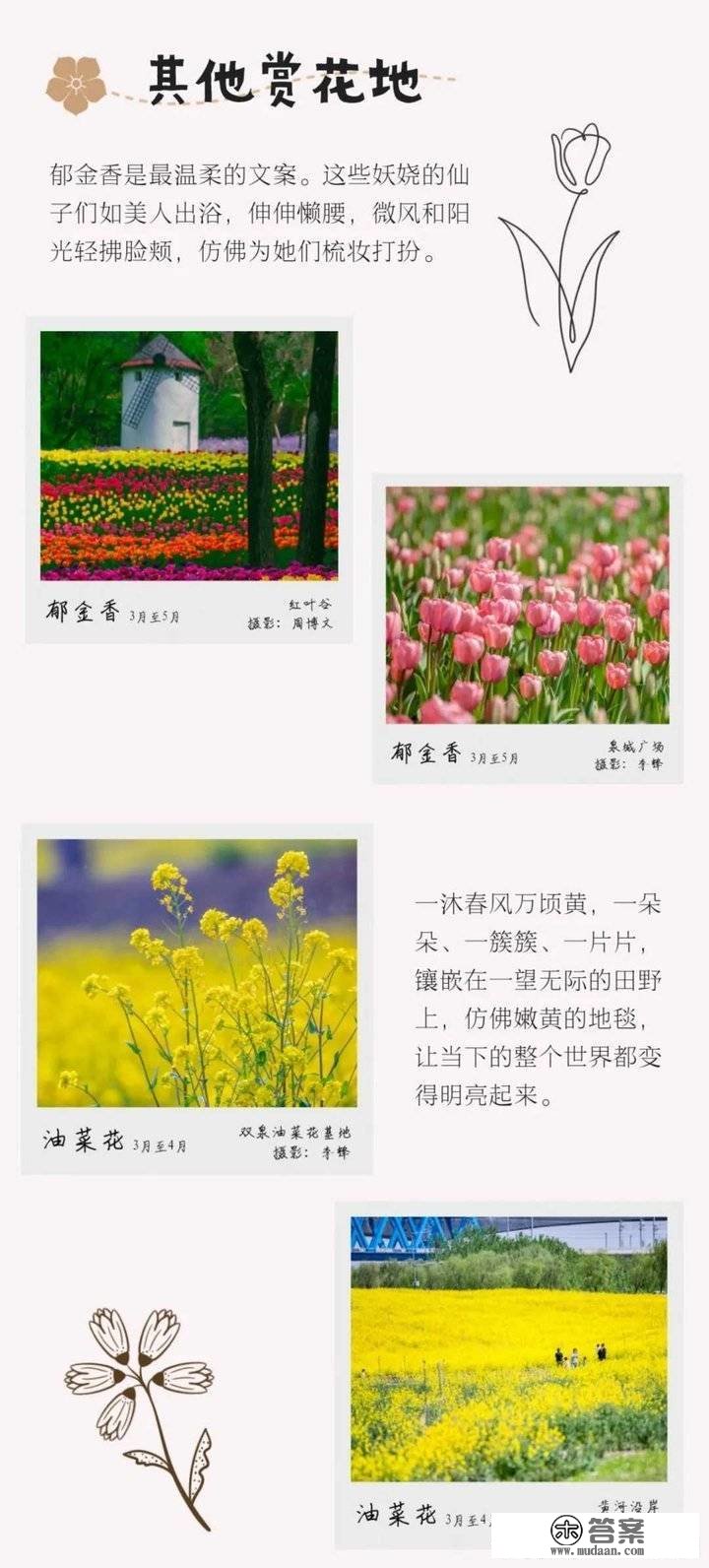 姹紫嫣红别样春，《泉城赏花图鉴》来啦