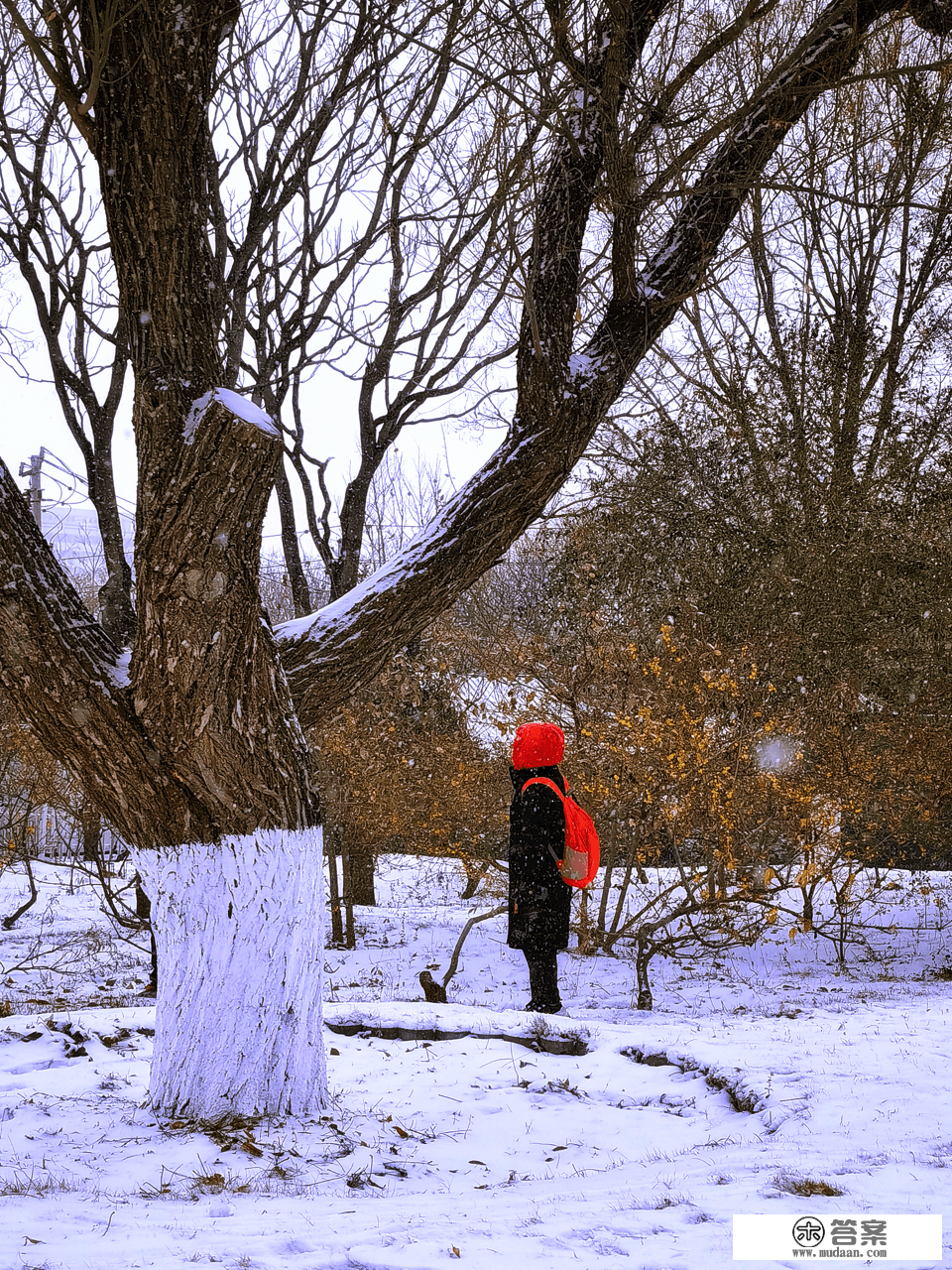 美“兔”秀秀|瑞雪覆盖下，千佛山如诗如画