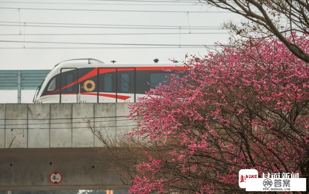 开往春天的地铁 就在17号线 | 图集