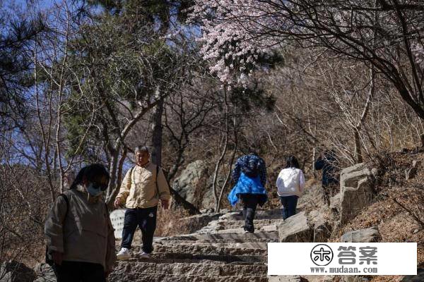 北京：春到香山