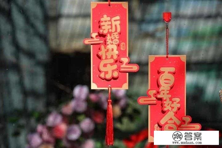 济南动物园两只金钱豹成婚了，保育员为那对“新人”见证