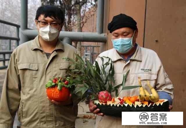 大岁首年月一，济南动物园萌宠高兴吃“大餐”