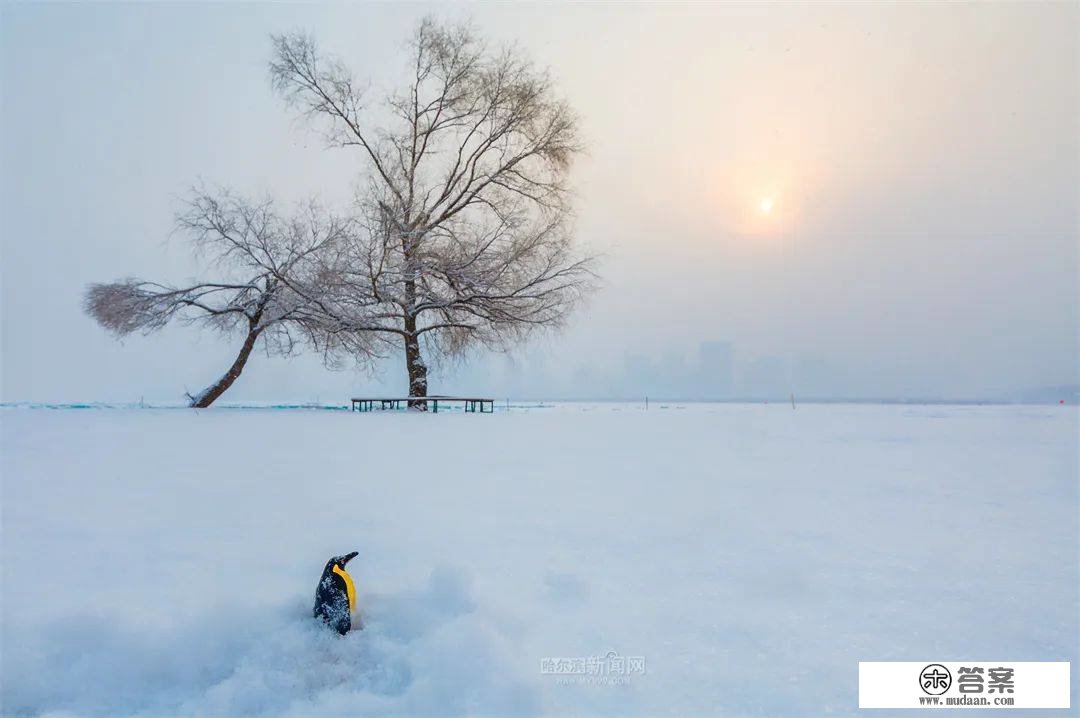 三月的雪花能够有多都雅